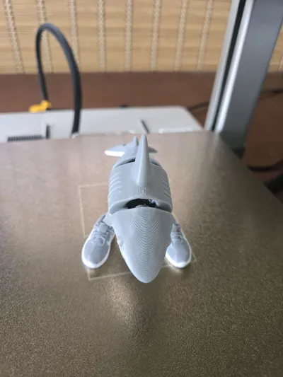 https://makerworld.bblmw.com/makerworld/model/1313030/1347628/ratings/650bbbd0-63df-11f0-975b-f5008c322086.jpg