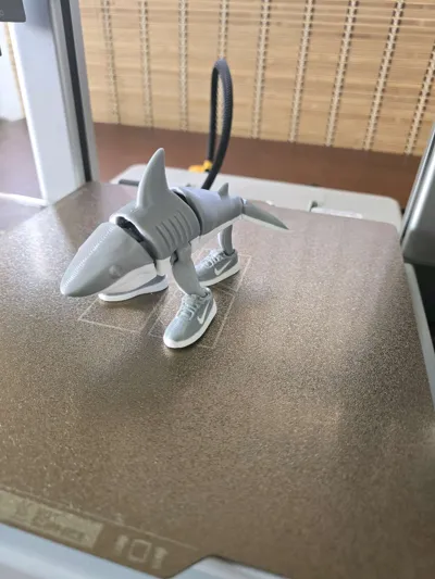 https://makerworld.bblmw.com/makerworld/model/1313030/1347628/ratings/653b7e60-63df-11f0-975b-f5008c322086.jpg