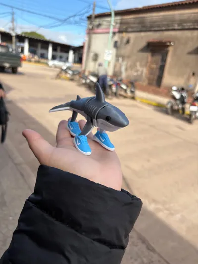 https://makerworld.bblmw.com/makerworld/model/1313030/1347628/ratings/944ae060-511a-11f0-afe6-8f3af05fbefa.jpg