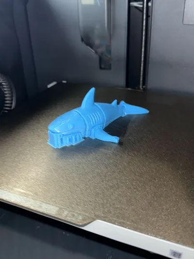 https://makerworld.bblmw.com/makerworld/model/1313030/1347628/ratings/a03df520-25c7-11f0-bd4b-73b07c412b6b.jpg