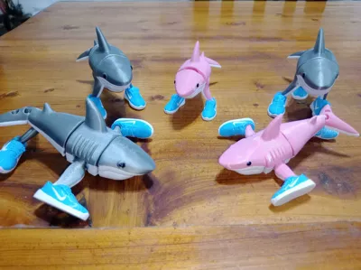 https://makerworld.bblmw.com/makerworld/model/1313030/1347628/ratings/d2ed23f0-8752-11f0-8da3-19fc36727573.jpg