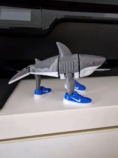 https://makerworld.bblmw.com/makerworld/model/1313030/1347628/ratings/f184baa0-2e59-11f0-aa65-df552407eb21.jpg
