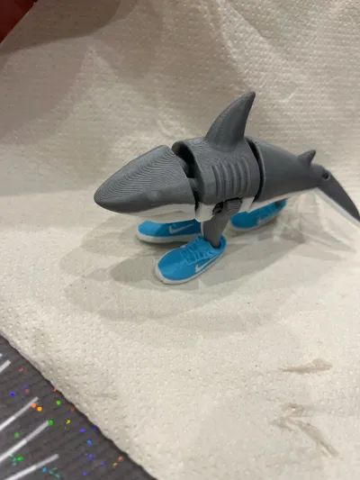 https://makerworld.bblmw.com/makerworld/model/1313030/1460464/ratings/6abd4420-d78b-11f0-92ac-797f8b18df14.jpg