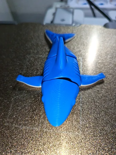 https://makerworld.bblmw.com/makerworld/model/1313030/1460464/ratings/a3d1e4c0-9d7d-11f0-8bd5-37b52712465e.jpg