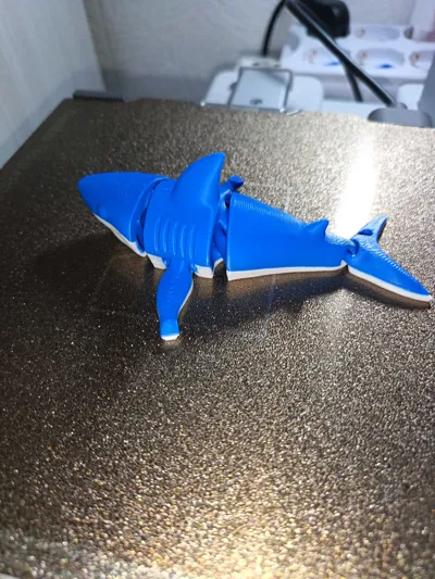https://makerworld.bblmw.com/makerworld/model/1313030/1460464/ratings/a3ea4ec0-9d7d-11f0-8bd5-37b52712465e.jpg