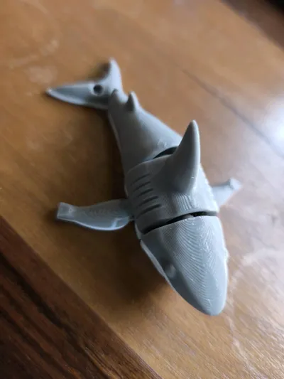 https://makerworld.bblmw.com/makerworld/model/1313030/1512552/ratings/8729c770-a534-11f0-8267-113cf3284c9f.jpg