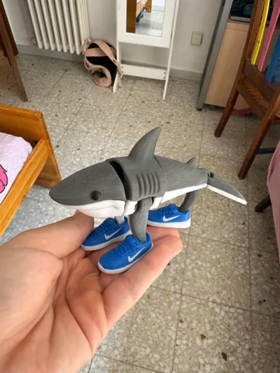 https://makerworld.bblmw.com/makerworld/model/1313030/1512552/ratings/f2e06930-8f34-11f0-b709-8b69946ec289.jpg