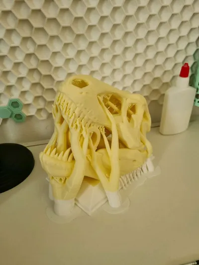 https://makerworld.bblmw.com/makerworld/model/1313990/1348754/ratings/611b2610-26e9-11f0-bbed-037eb936d425.jpg