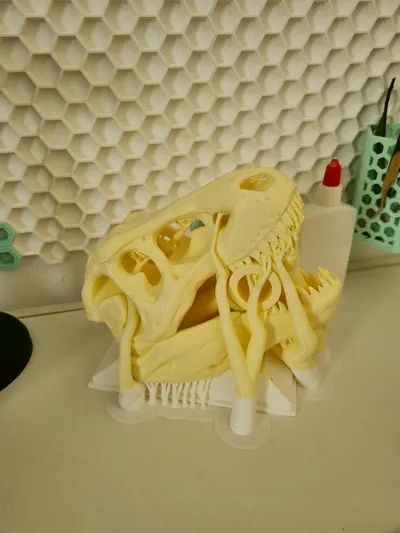 https://makerworld.bblmw.com/makerworld/model/1313990/1348754/ratings/6130a9e0-26e9-11f0-bbed-037eb936d425.jpg
