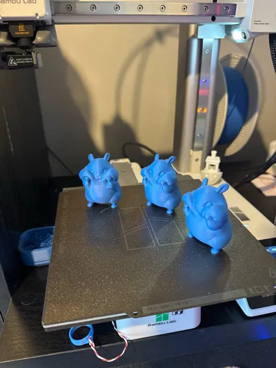 https://makerworld.bblmw.com/makerworld/model/1314109/1348880/ratings/a43dd540-e242-11f0-bcda-330a57807351.jpg