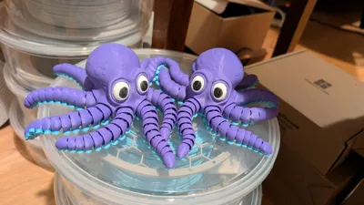 https://makerworld.bblmw.com/makerworld/model/1314470/1349300/ratings/33022230-ea4b-11f0-bebd-07457d1bc05e.jpg