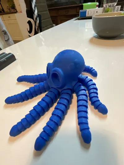 https://makerworld.bblmw.com/makerworld/model/1314470/1349300/ratings/403949e0-e8e0-11f0-912a-dfd47660818a.jpg