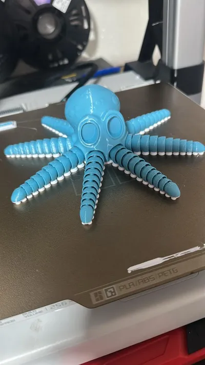 https://makerworld.bblmw.com/makerworld/model/1314470/1361189/ratings/fad42d20-bb12-11f0-9da0-852890687aa0.jpg