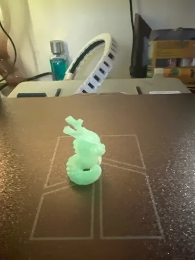 https://makerworld.bblmw.com/makerworld/model/13155/13153/ratings/b06f9920-0e58-11f0-8703-7b50e583d179.jpg