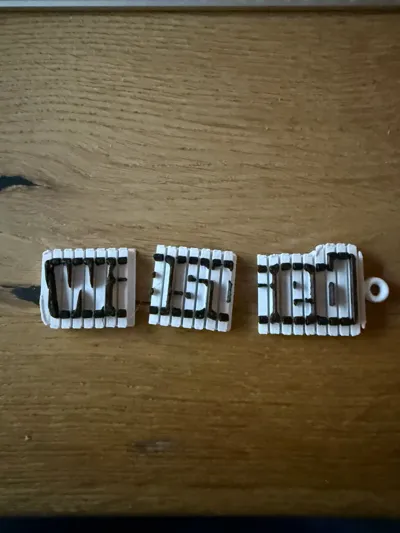 https://makerworld.bblmw.com/makerworld/model/1315996/1351098/ratings/fbadd740-bcb2-11f0-ab7e-d913903bc7f7.jpg