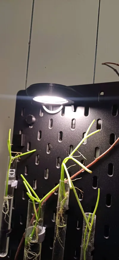 https://makerworld.bblmw.com/makerworld/model/1316194/1351337/ratings/502a9530-8430-11f0-a11e-f337753e088d.jpg