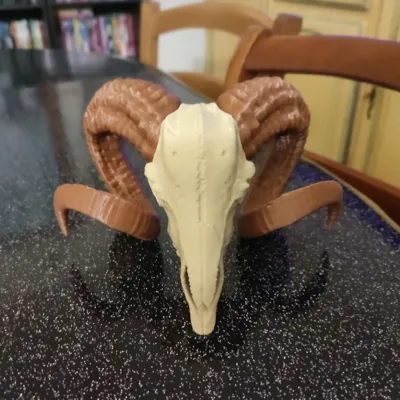 https://makerworld.bblmw.com/makerworld/model/131748/142890/ratings/e0e60c30-3fa2-11f0-8b61-d36cf4d8fe0f.jpg