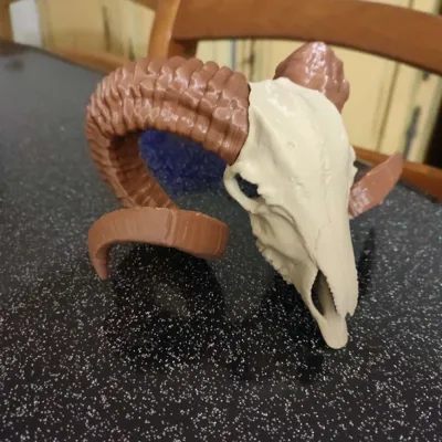 https://makerworld.bblmw.com/makerworld/model/131748/142890/ratings/e0ed5f30-3fa2-11f0-8b61-d36cf4d8fe0f.jpg