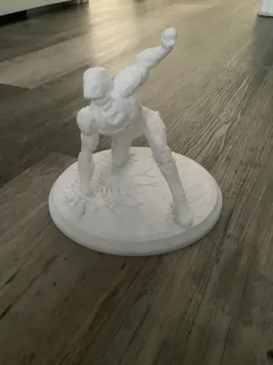 https://makerworld.bblmw.com/makerworld/model/131773/396363/ratings/679cd7d0-f940-11ef-879c-418ef517aa52.jpg
