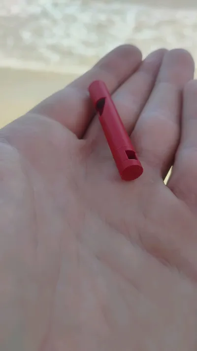 https://makerworld.bblmw.com/makerworld/model/1318769/1354457/ratings/d1b152a0-777a-11f0-ad7a-73850edfae48.jpg
