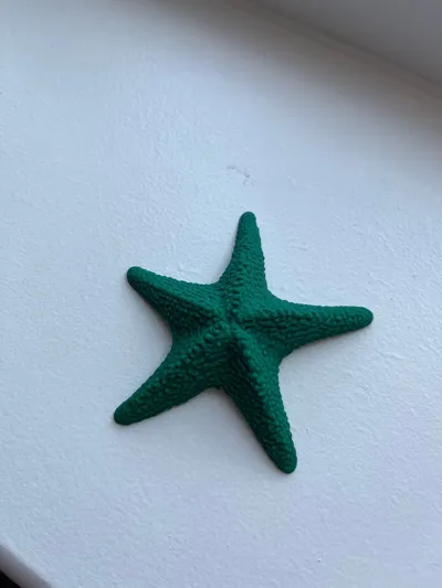 https://makerworld.bblmw.com/makerworld/model/1319719/1355622/ratings/bf7703b0-7f4e-11f0-8841-1111378424ad.jpg