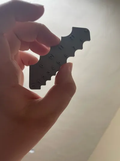https://makerworld.bblmw.com/makerworld/model/1319959/1355907/ratings/716117e0-2b72-11f0-b168-6938facc9b3b.jpg