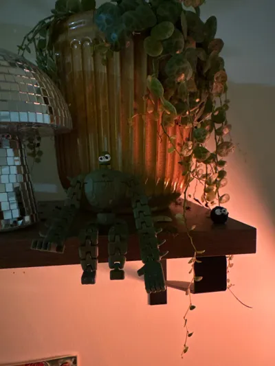 https://makerworld.bblmw.com/makerworld/model/1321597/1357849/ratings/f0dc5d30-fadf-11f0-a082-81b77e8f9b8f.jpg