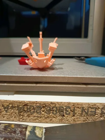 https://makerworld.bblmw.com/makerworld/model/1321945/1358257/ratings/325f4ce0-c156-11f0-9557-b7a0a63eb2e2.jpg