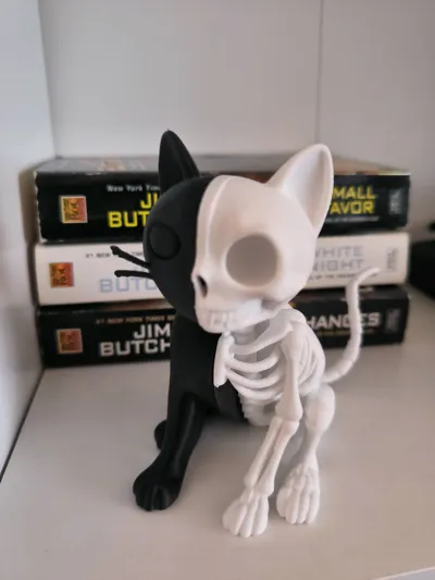 https://makerworld.bblmw.com/makerworld/model/1321971/1358306/ratings/2c830470-6dfe-11f0-9a78-fb9f709821bd.jpg