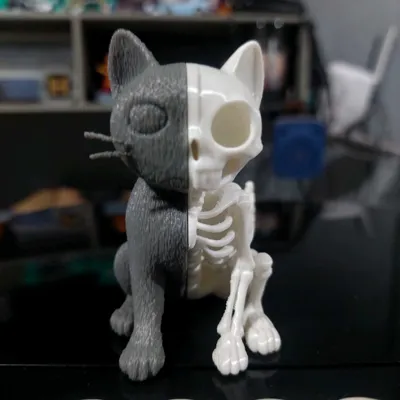 https://makerworld.bblmw.com/makerworld/model/1321971/1358306/ratings/9953f3e0-3c33-11f0-ba21-dfc8491093c1.jpg