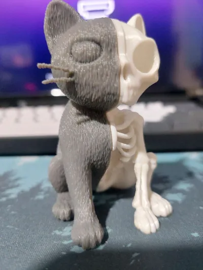 https://makerworld.bblmw.com/makerworld/model/1321971/1358306/ratings/99683f30-3c33-11f0-ba21-dfc8491093c1.jpg