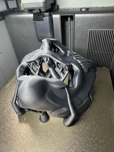 https://makerworld.bblmw.com/makerworld/model/1322340/1358769/ratings/3090c450-ea5c-11f0-a2e9-f55fbe9b344c.jpg