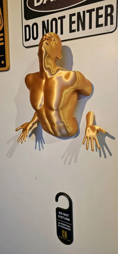 https://makerworld.bblmw.com/makerworld/model/1322928/1359471/ratings/1fa2fba0-43b2-11f0-b039-abdddf4a3d6a.jpg
