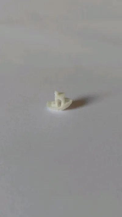 https://makerworld.bblmw.com/makerworld/model/1323247/1359871/ratings/46c5aaa0-656f-11f0-b592-03bfc61187bd.jpg