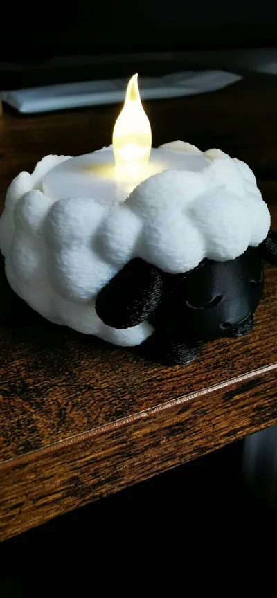https://makerworld.bblmw.com/makerworld/model/1324003/1360818/ratings/5efe01c0-8578-11f0-b855-55413d4410d9.jpg