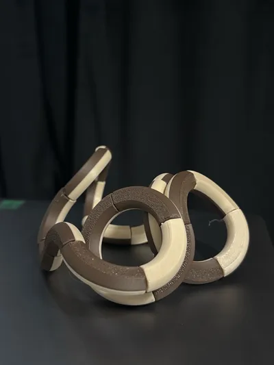 https://makerworld.bblmw.com/makerworld/model/1324237/1361115/ratings/0b26ae50-6695-11f0-9739-dbd57501928d.jpg