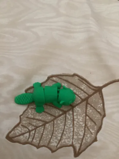 https://makerworld.bblmw.com/makerworld/model/1324593/1443993/ratings/7dcf1d40-7534-11f0-9a1f-7713f41b1ab5.jpg