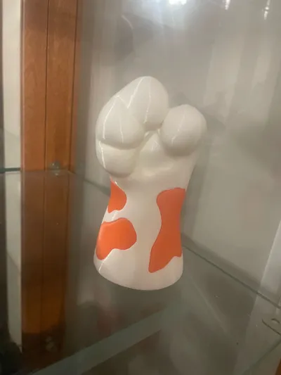 https://makerworld.bblmw.com/makerworld/model/1325343/1362452/ratings/b60890b0-c4fd-11f0-a487-c31fd61815b5.jpg