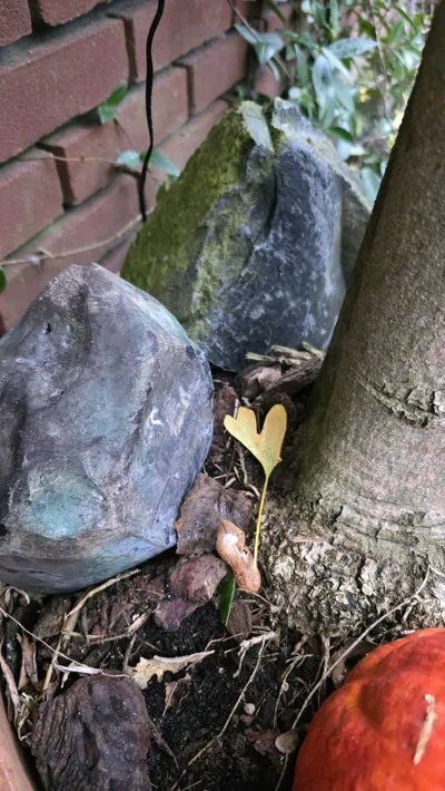 Rock with secret compartment - for geocaching - Free 3D Print Model ...