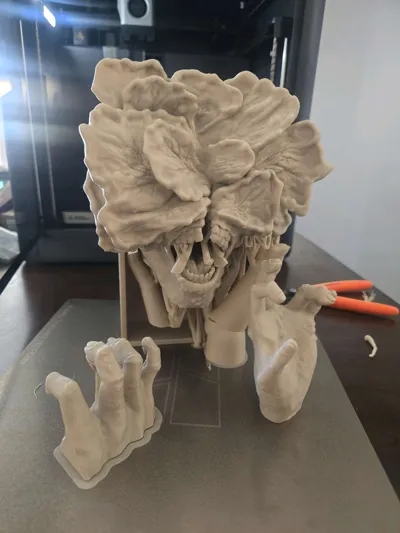 https://makerworld.bblmw.com/makerworld/model/1325796/1362972/ratings/016676d0-f2da-11f0-a06e-fb6dddd6b558.jpg