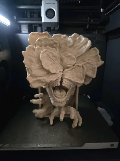 https://makerworld.bblmw.com/makerworld/model/1325796/1362972/ratings/0166c4f0-f2da-11f0-a06e-fb6dddd6b558.jpg