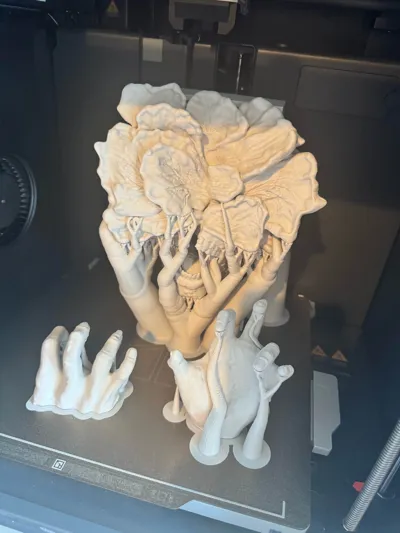 https://makerworld.bblmw.com/makerworld/model/1325796/1362972/ratings/c0b776b0-786e-11f0-8e28-a1860ec76e8f.jpg