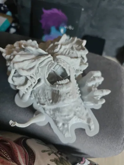 https://makerworld.bblmw.com/makerworld/model/1325796/1380962/ratings/b1c885c0-6d08-11f0-b702-e3054559f3dd.jpg
