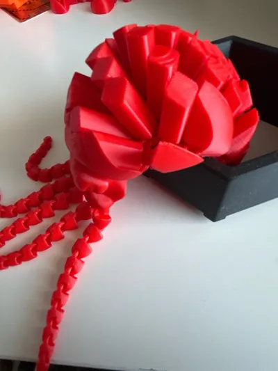 https://makerworld.bblmw.com/makerworld/model/1325916/1363138/ratings/298414a0-1ed3-11f0-8457-0106908b0274.jpg