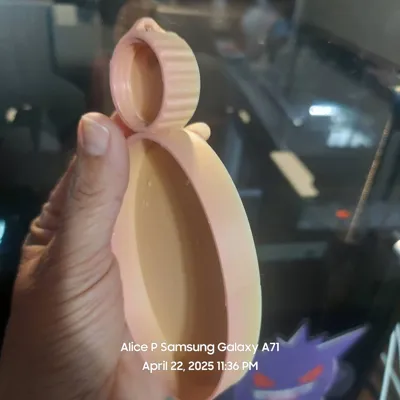 https://makerworld.bblmw.com/makerworld/model/1326114/1363404/ratings/66015510-1ff4-11f0-8580-1fc405c7a205.jpg