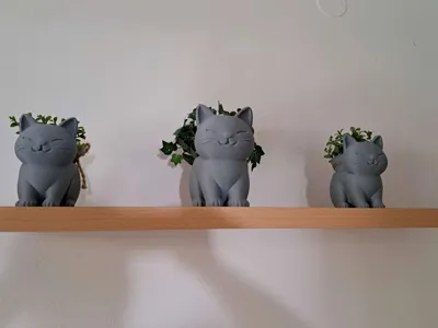 https://makerworld.bblmw.com/makerworld/model/1326935/1364471/ratings/54665470-1d35-11f0-9c65-9b6de7e61d40.jpg