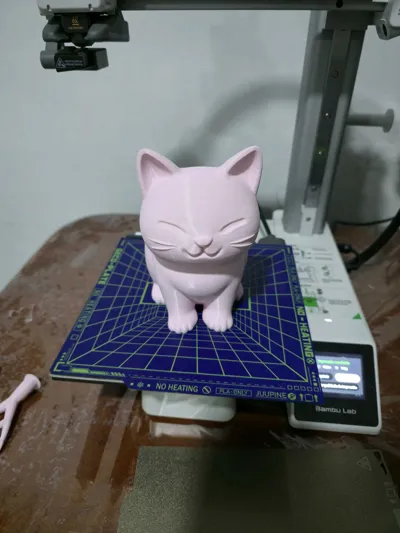 https://makerworld.bblmw.com/makerworld/model/1326935/1364471/ratings/8dcecf10-abd5-11f0-9f1c-49082228bfb3.jpg