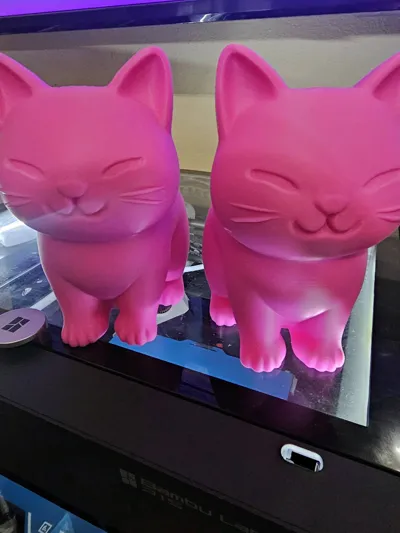 https://makerworld.bblmw.com/makerworld/model/1326935/1364471/ratings/ff06c370-762b-11f0-8e4a-4bcab48d1360.jpg