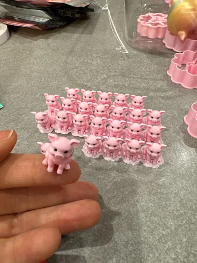 https://makerworld.bblmw.com/makerworld/model/1327338/1364951/ratings/27d76c60-cb35-11f0-a9d1-3fc92c3f8064.jpg
