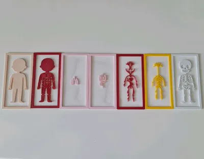 https://makerworld.bblmw.com/makerworld/model/1327704/1365370/ratings/985c1210-790a-11f0-a176-4f24ea3015a2.jpg